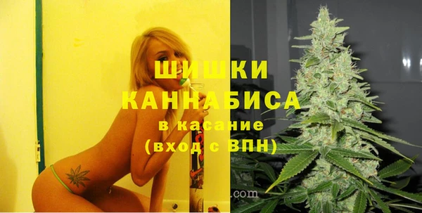 гидра Аркадак