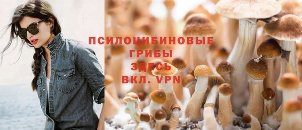 гидра Аркадак