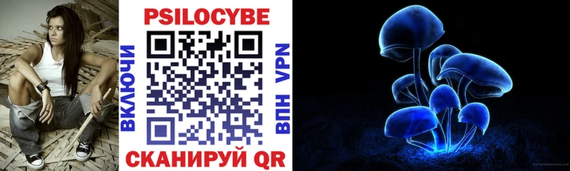 Галлюциногенные грибы прущие грибы  ОМГ ОМГ ссылки  Дорогобуж 