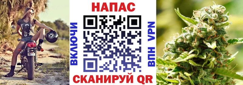 Канабис Amnesia Дорогобуж